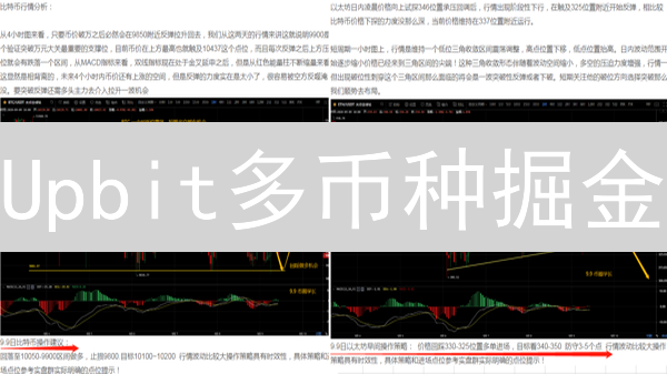 Upbit多币种掘金：3招掌握暴涨秘籍！🔥