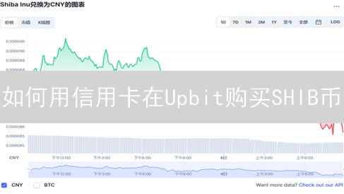 如何用信用卡在Upbit购买SHIB币？详细流程攻略！