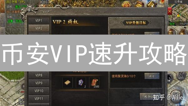 币安VIP速升攻略：交易费用狂降秘籍，新手也能变大神？