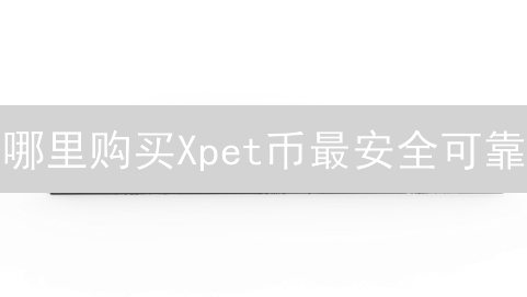 哪里购买Xpet币最安全可靠？平台选择指南