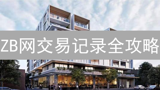 ZB网交易记录全攻略：数据查询、替代方案与安全指南